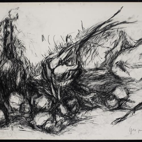 Légumes, juin 1959, crayon gras sur papier fort, 50x70cm, signé et daté en bas à droite
